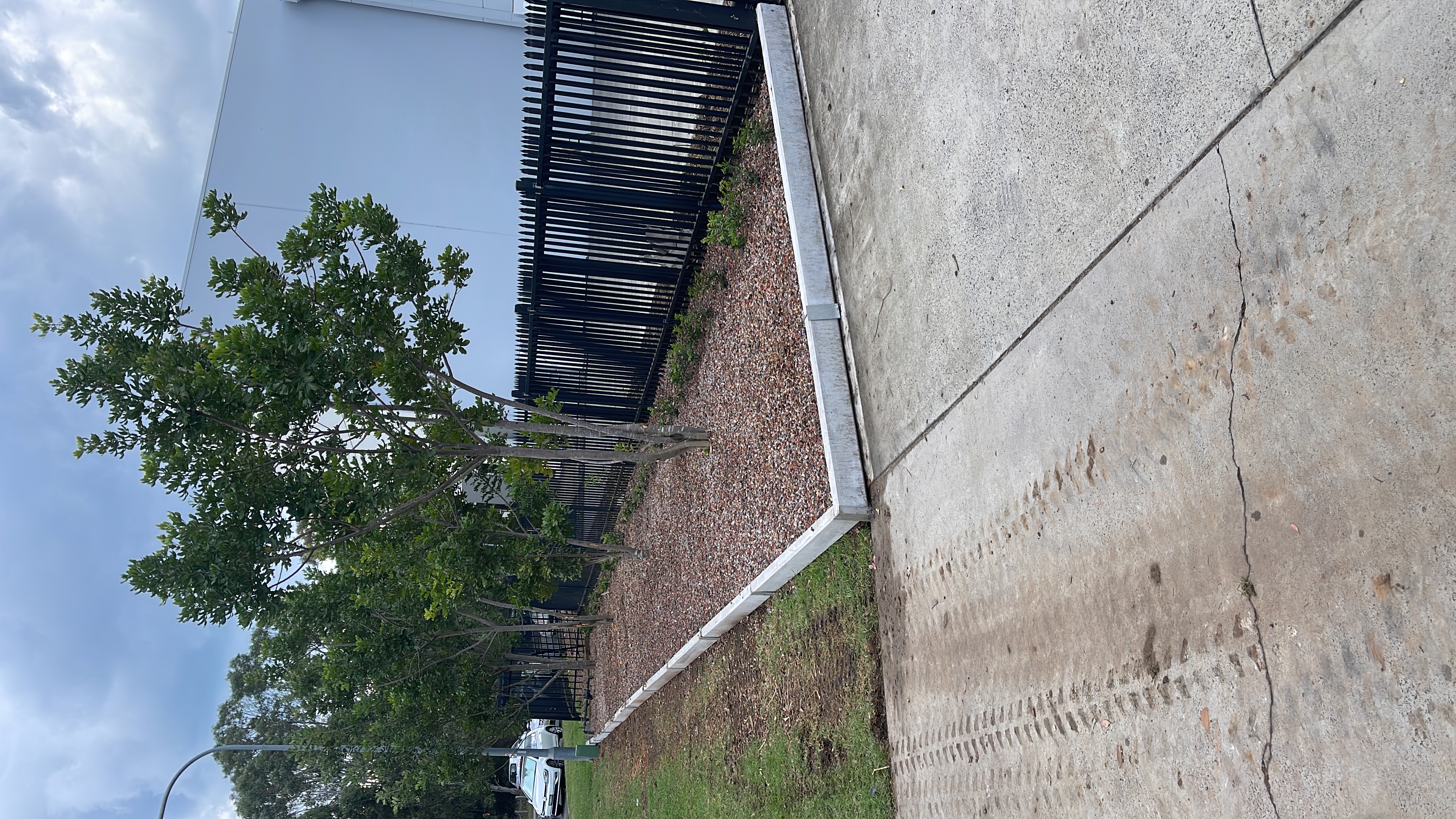 Established garden bed with trees along fence line, Waler Cr