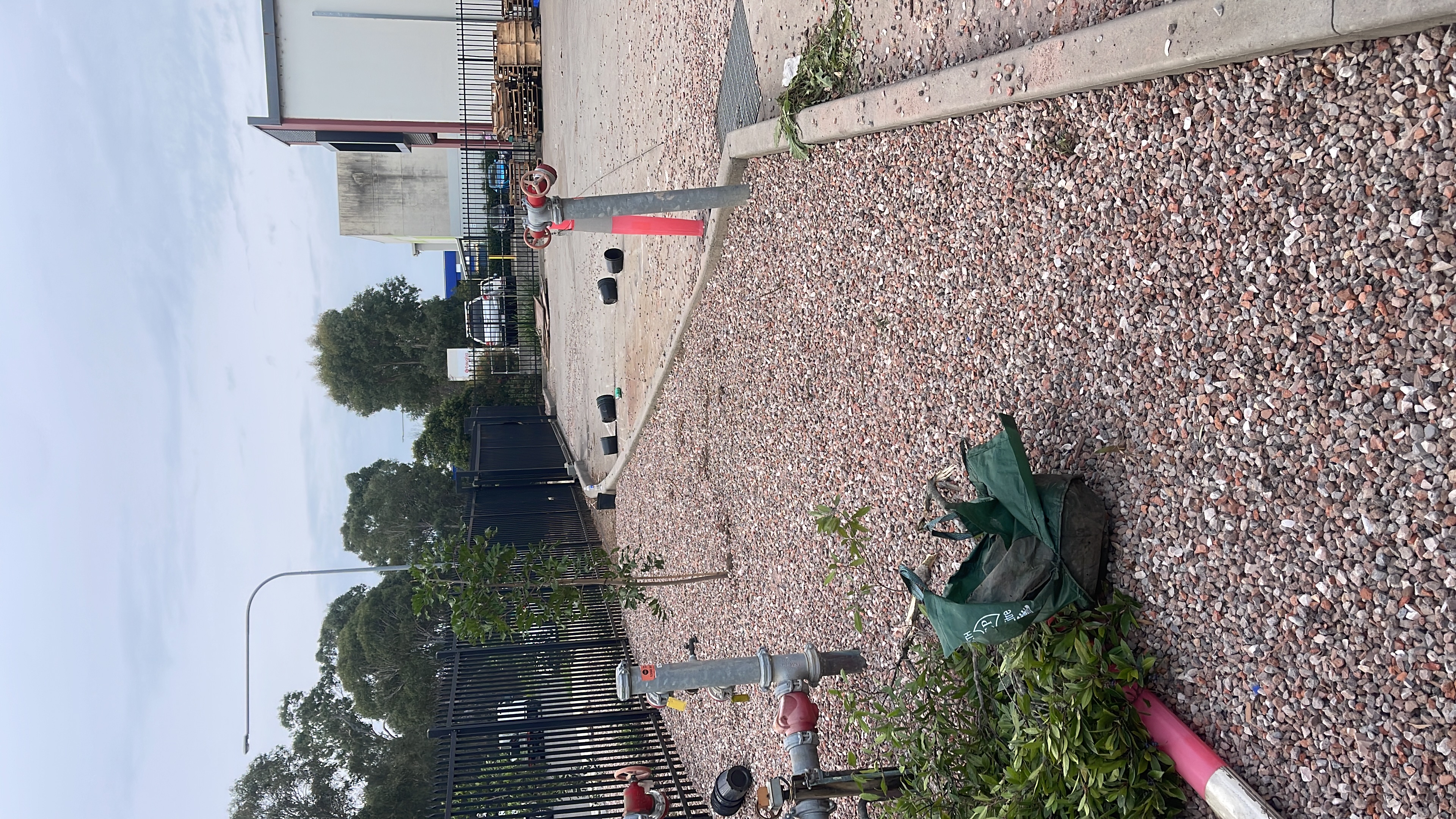 Gravel landscaped bed with young tree near fire hydrant infrastructure